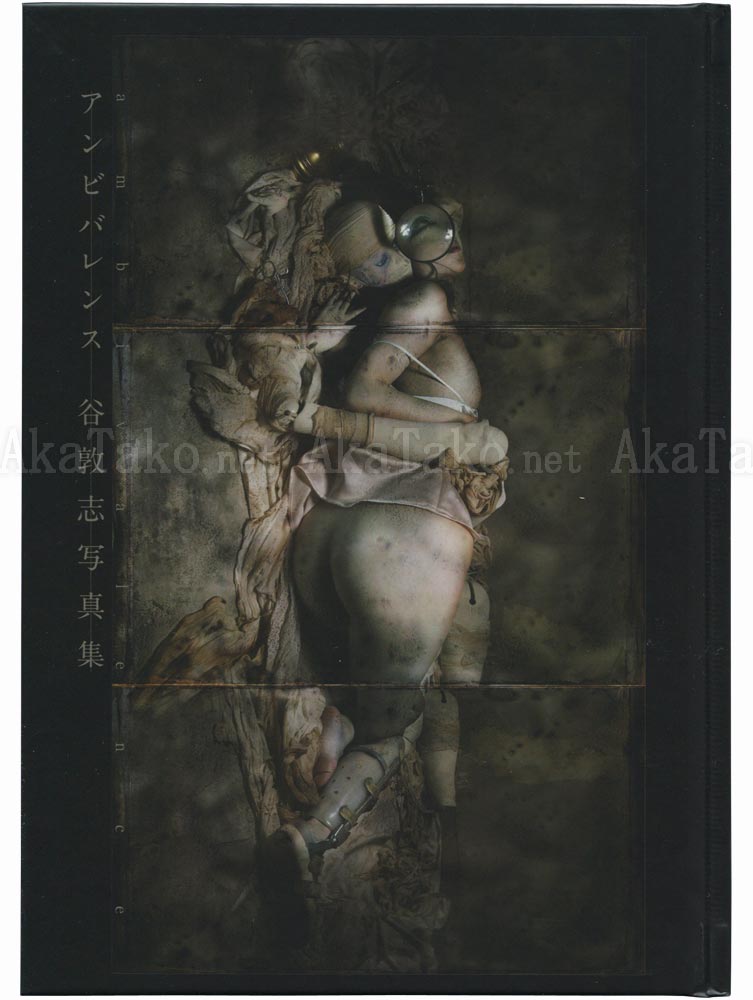 Atsushi Tani Ambivalence