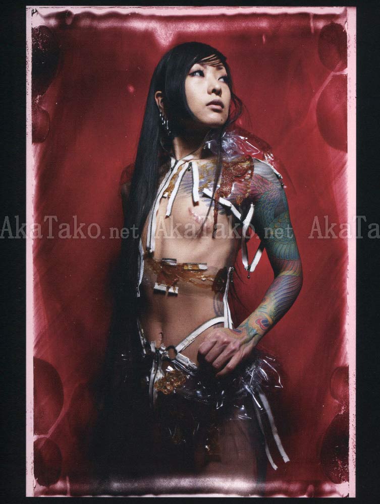 Atsushi Tani Ambivalence