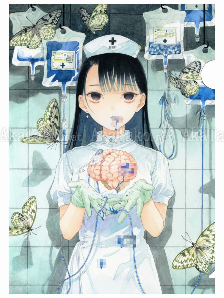 Em Nishizuka Clear File