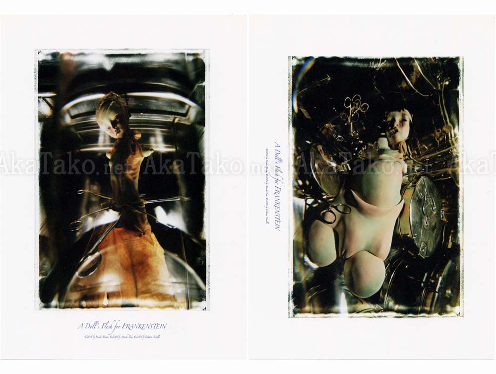 Etsuko Miura A Doll's Flesh for Frankenstein Cards