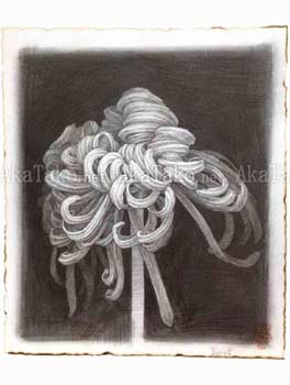 Fuco Ueda Original Drawing 1