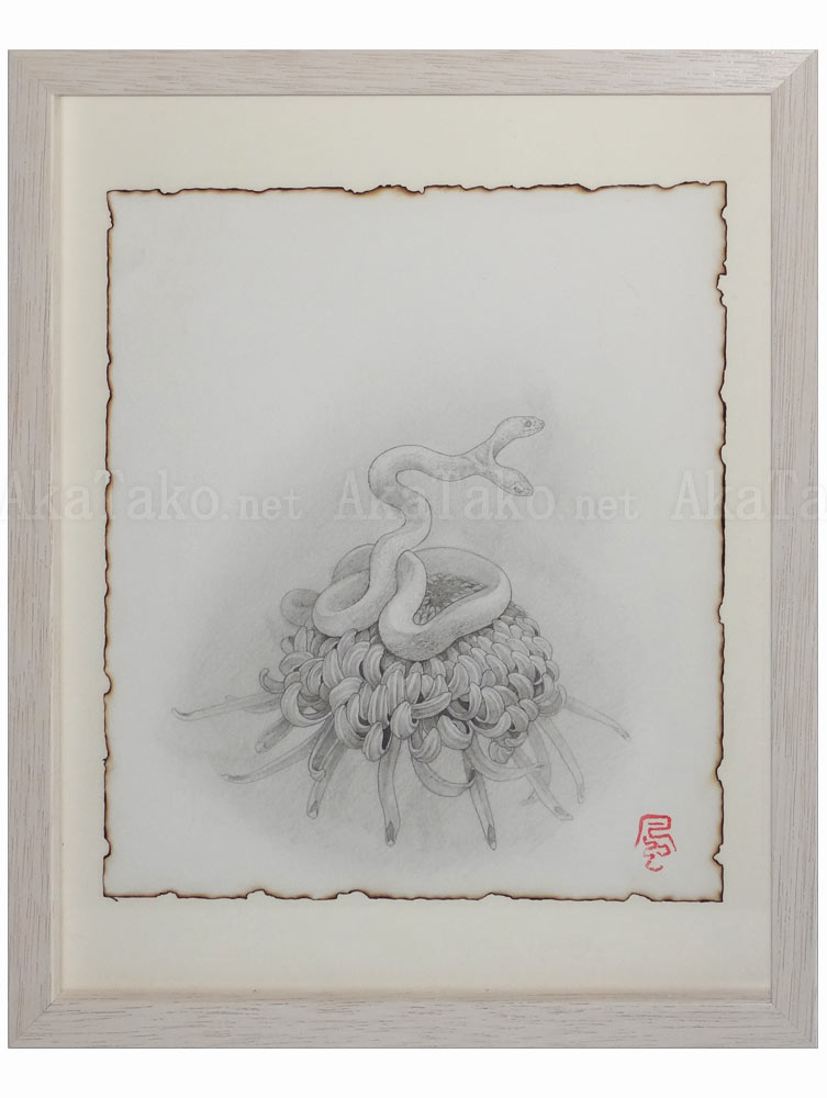 Fuco Ueda Original Drawing Chrysanthemum and Double Headed Snake