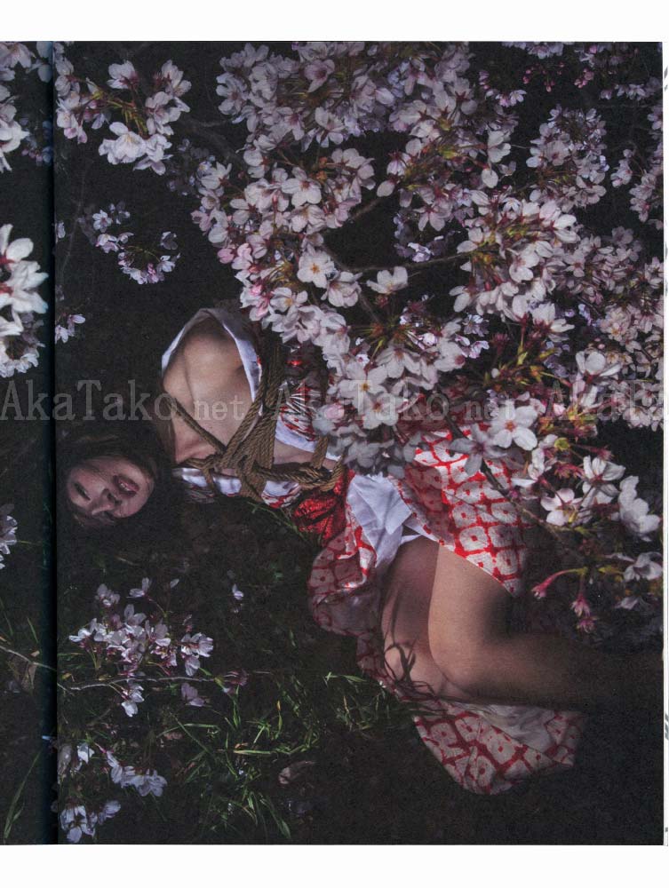 Hajime Kinoko Ichigo Ichie SIGNED