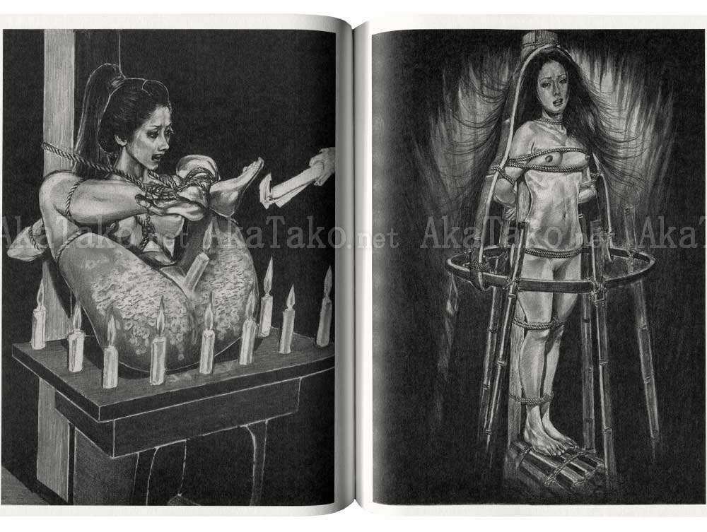 Hidden Pictures of Cruelty inside pages