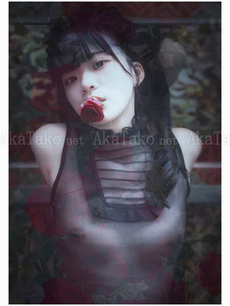 Kanako Tama Honey Magic SIGNED