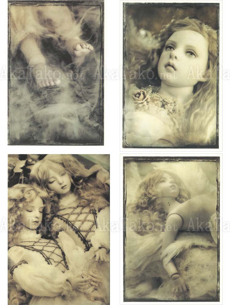 Koitsukihime Misericordia Postcard Set