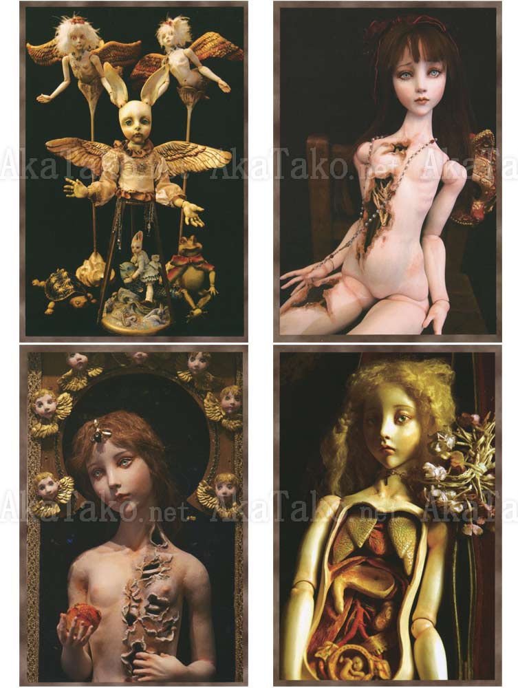 Mari Shimizu Postcard Set 11