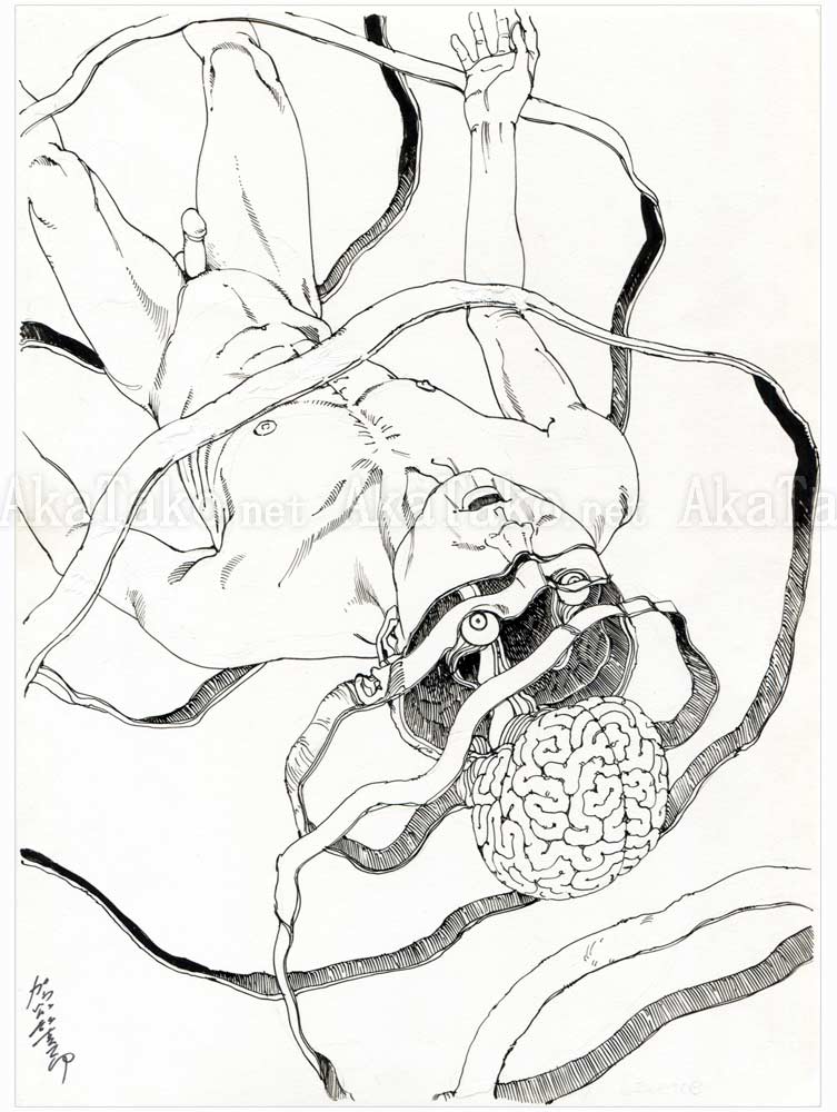 Shintaro Kago Black and White Original Drawing 2