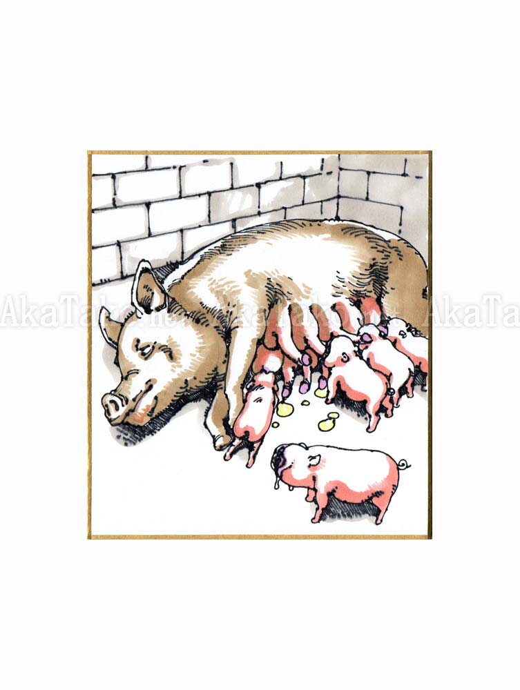 Shintaro Kago Drawing Piglets