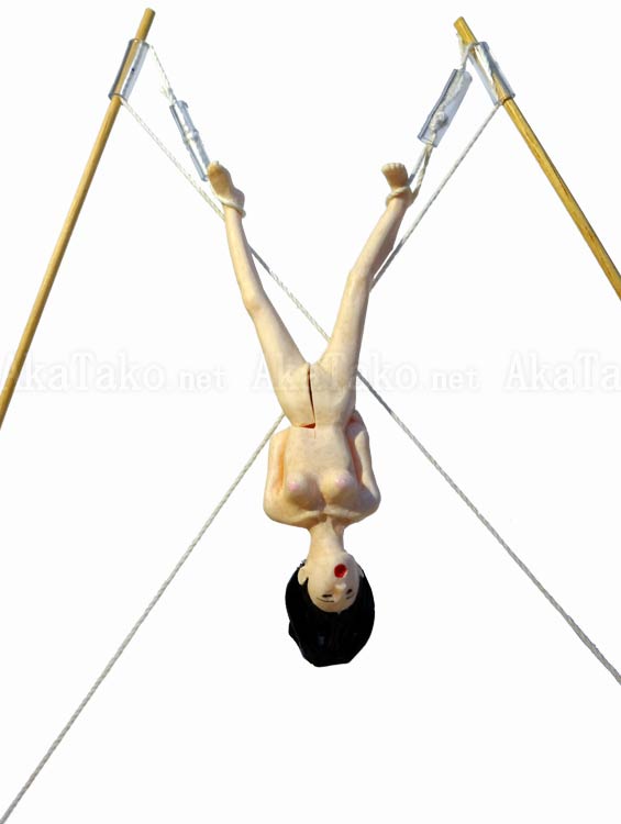 Shintaro Kago toy Prison Torture