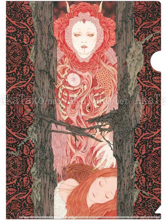 Takato Yamamoto Clear File Nosferatu - Attachment