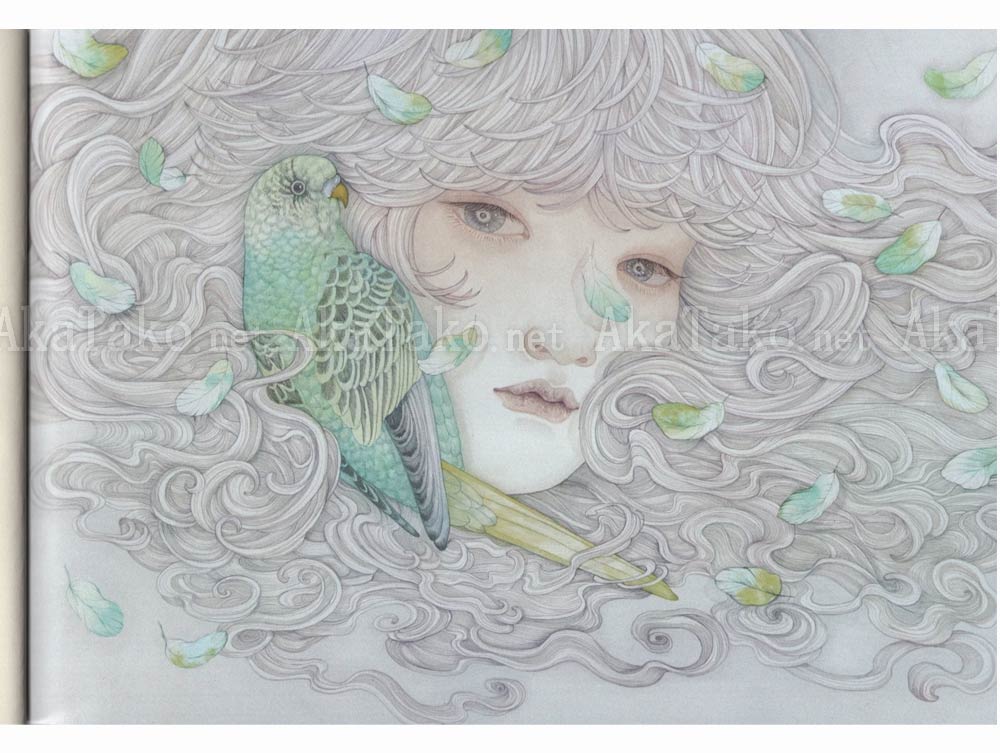 Yuka Sakuma Shallows