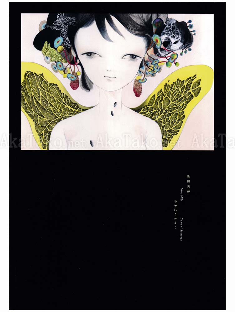 Yume ni Samayou Mika Nitta