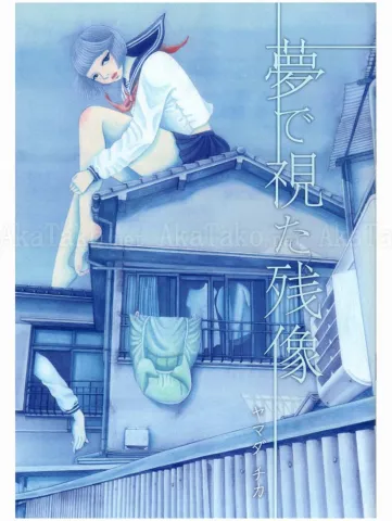 Chika Yamada Afterimage Seen in a Dream SIGNED - front cover