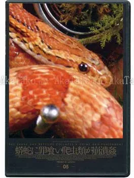 Daikichi Amano Snake and Reptiles DVD