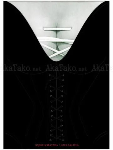 Hajime Sorayama Latex Galatea