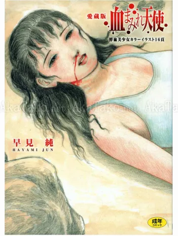 Jun Hayami Bloodstained Angel - front cover