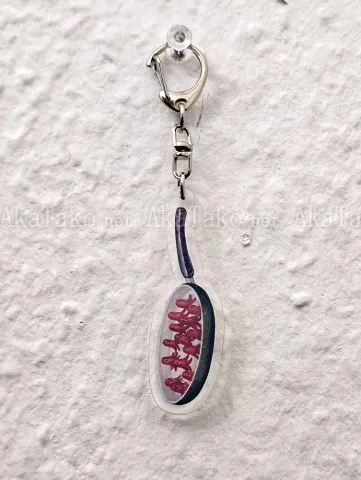 Kana Miyamoto AkaTako Acrylic Keychain