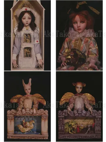 Mari Shimizu Postcard Set 6