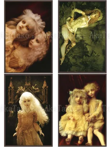 Mari Shimizu Postcard Set 9