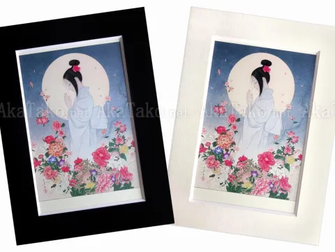 Takato Yamamoto Postcard Medicinal Herbs - black or natural frame