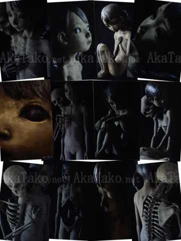 Tsutomu Kawakami Postcard Set of 12 Artworks