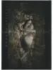 Atsushi Tani Ambivalence - front cover