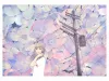 Chika Tanikawa Postcard Set of 6