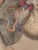 Eimi Suzuki The Octopus's Sacred Will Original Artwork (detail)