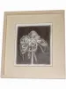 Fuco Ueda Original Drawing 1 - framed
