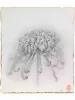 Fuco Ueda Original Drawing 2