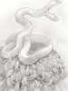 Fuco Ueda Chrysanthemum and Double Headed Snake Original Drawing - detail