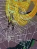 Fuco Ueda Fragment of Daydream 3 original painting - detail