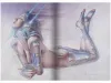 Hajime Sorayama The Gynoids Sublime - inside page