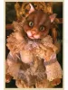 Mari Shimizu Postcard Set 12 - card 3