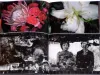 Nobuyoshi Araki Shijyo Tokyo Marketplace of Emotions - inside pages