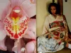 Araki by Taschen - flower and girl