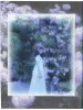 Shunkin - Days with a Doll Maiden - inside page