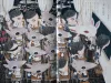 Talking Heads No. 47 Magazine Pseudo-Human - Kenichi Koyama