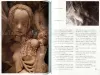 Yaso Filles art magazine - Tari Nakagawa